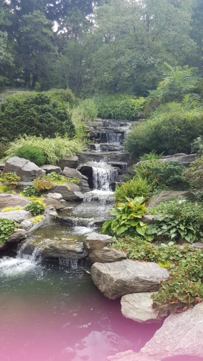 New York Botanical Garden