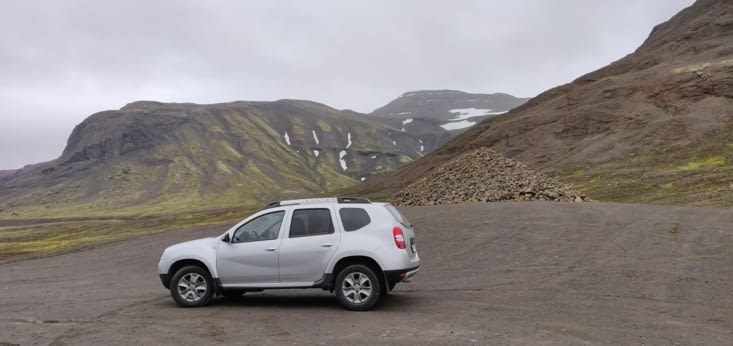 La bête dans son environnement naturel