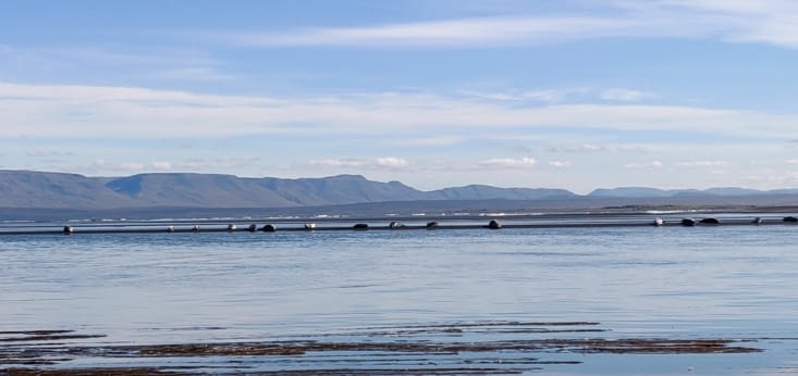 ... et en marchant un peu, on peut avoir de bonnes surprises !