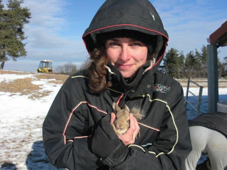 Un petit lapereau tout mignon