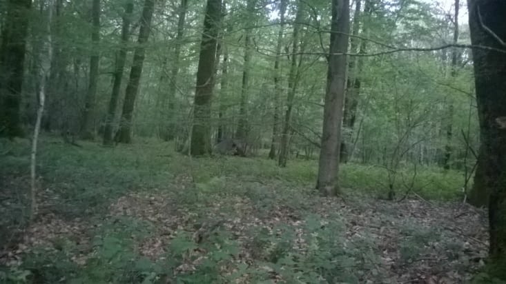 Voyez vous les campeurs ?