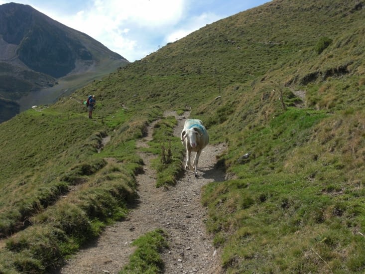 De bien belles rencontres...