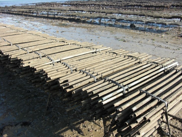 Les collecteurs posés cet été