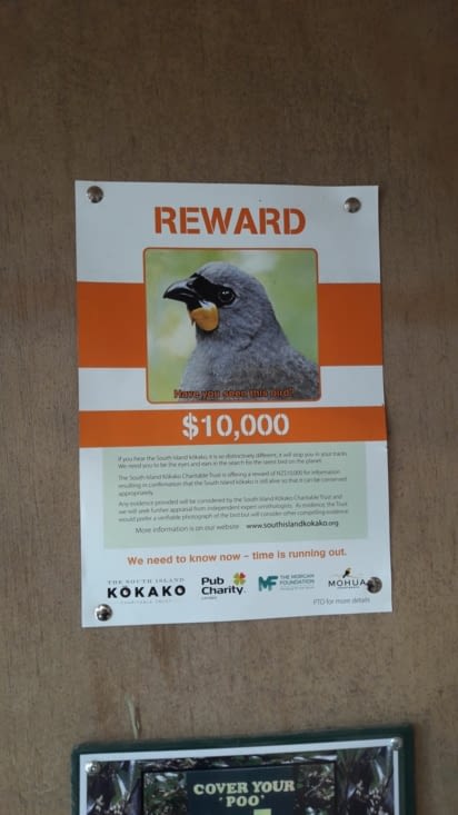 Récompense de 10000 $ pour quiconque possède des informations sur cet oiseau