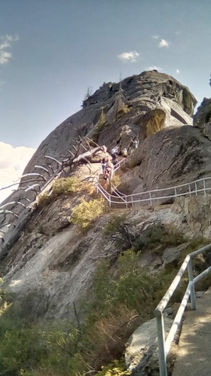 Sequoia national parc / Moro Roc