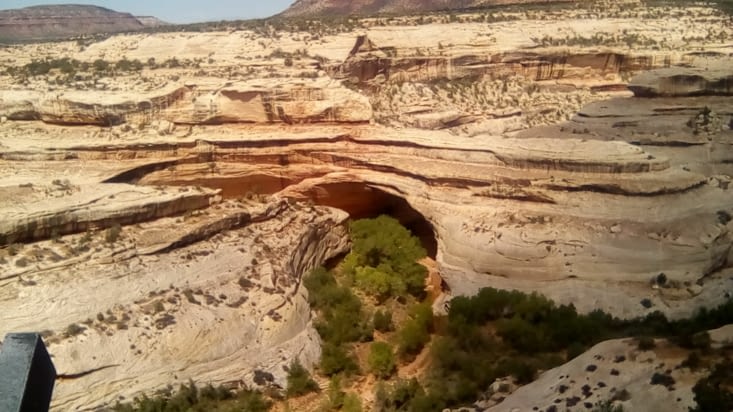 Natural Bridges