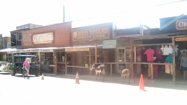 Oatman