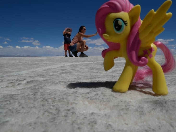 Maman caressant le poney