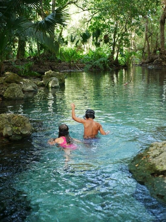 On cherche des poissons