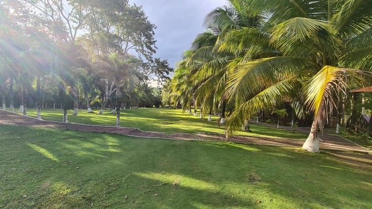 Vue depuis notre petite cabane...