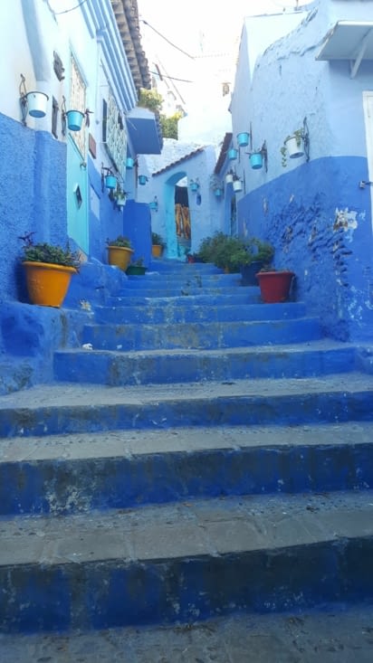 Parce que pour vrai c'est bleu