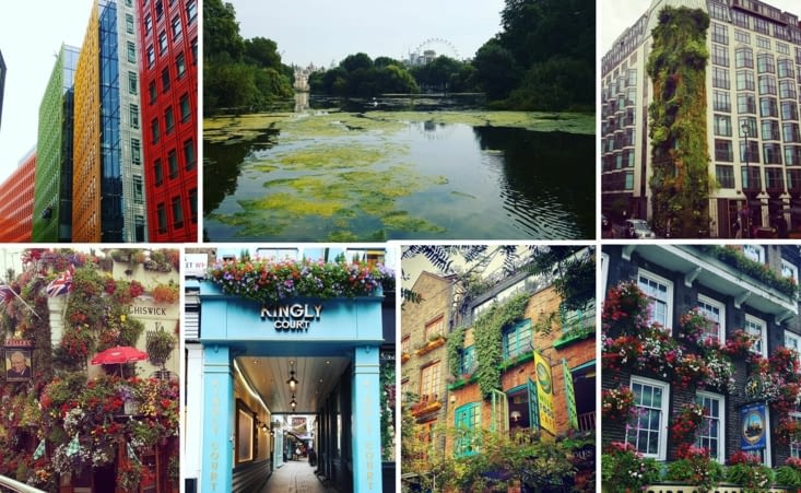 Architecture et Nature