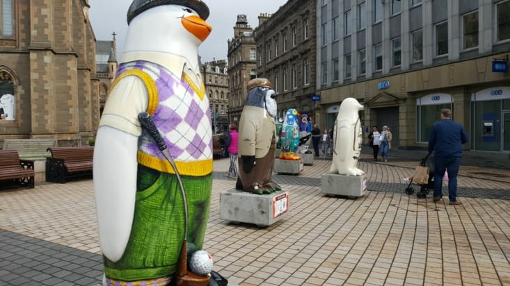 Pingouins partout a Dundee