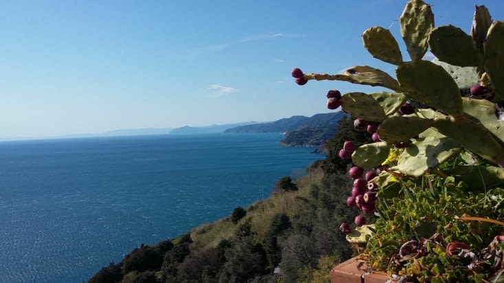 Route vers les Cinque Terre, cinq villages en pan de mer à franchir en randonnée si les