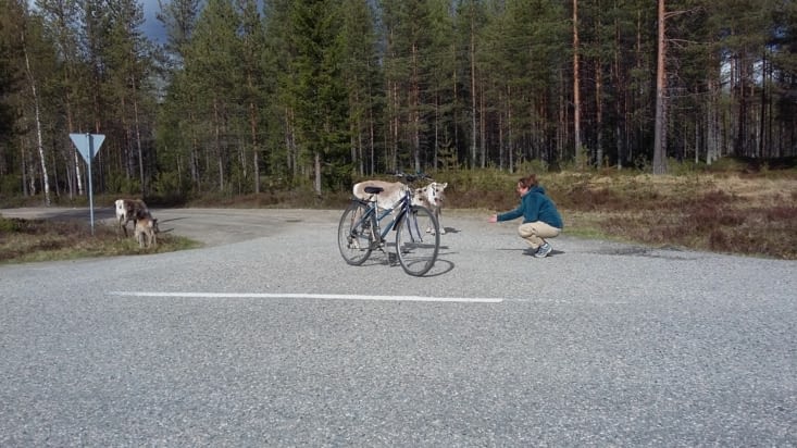 lors de ballade en vélo....