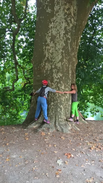 communion parfaite avec les arbres