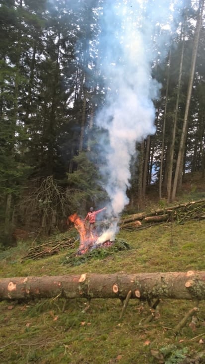 Ca bosse dur dans la forêt chaque matin