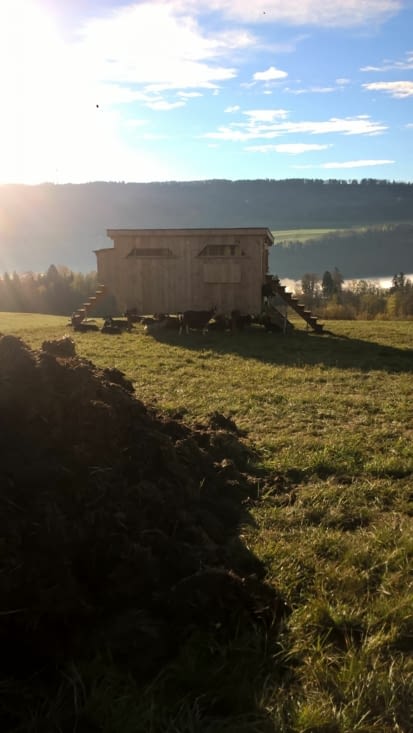 jamais trop loin du fumier