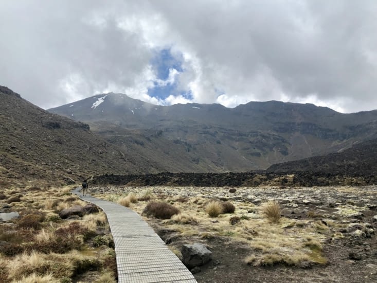 Wait! Je dois monter là-haut !