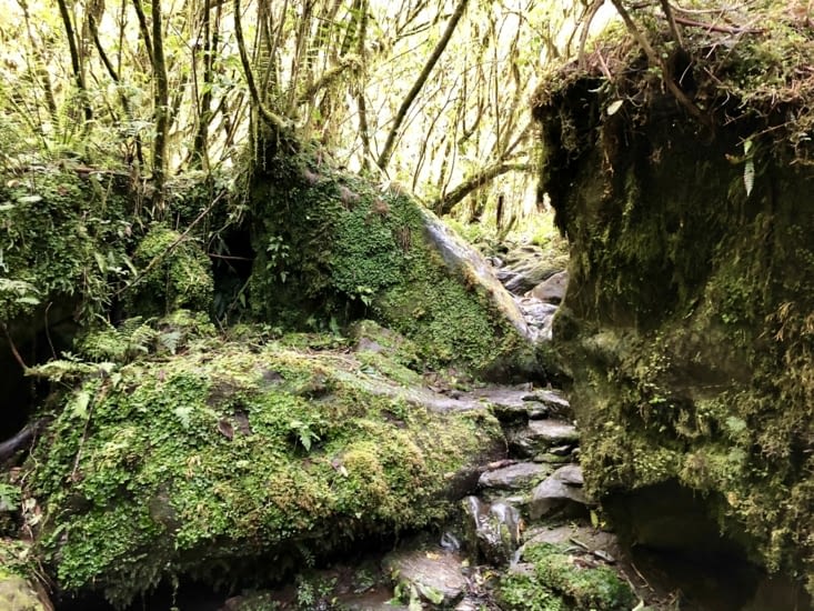 Retour au point de départ