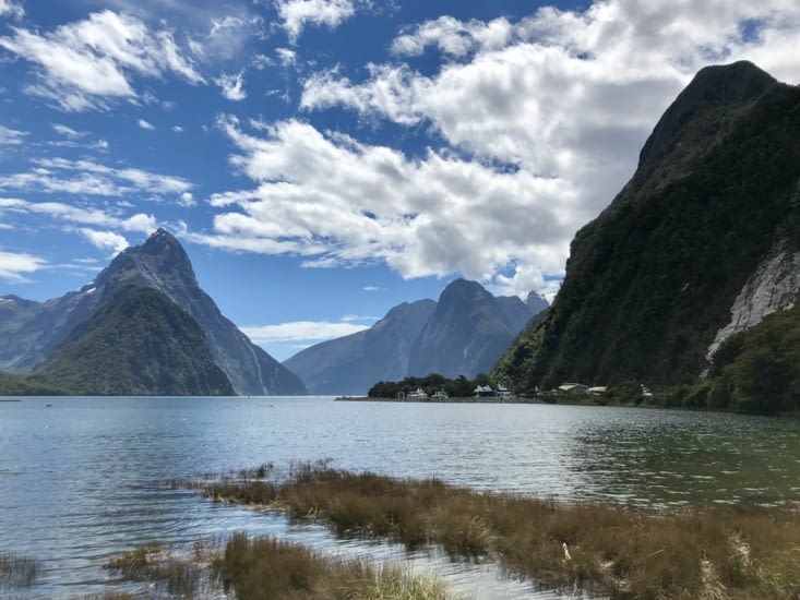 Fiordland
