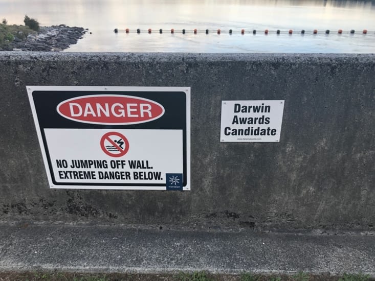 En sortant de la piste je vois ça