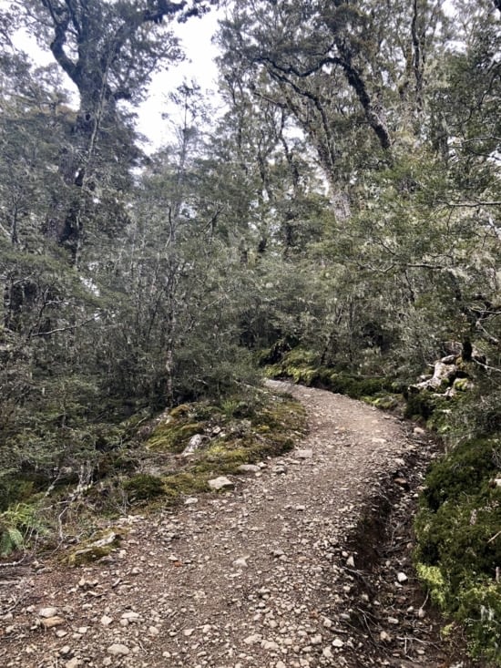 Encore un effort et je suis au premier sommet