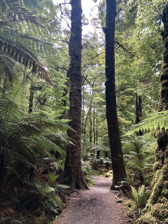 La porte d’entrée vers l’inconnu