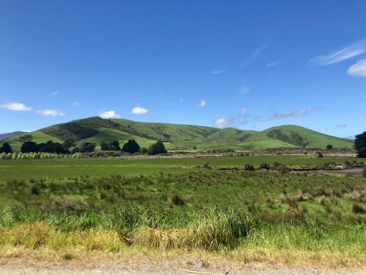 Pas de dauphins mais la vue se suffit à elle seule