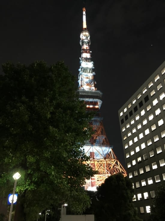 nous finissons par admirer la vue depuis la Tokyo tower, symbole du pays nippon