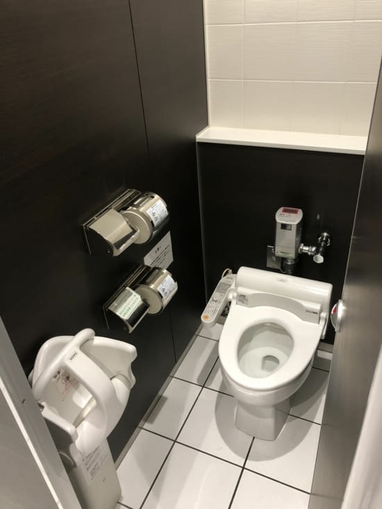 Les toilettes à la japonaise