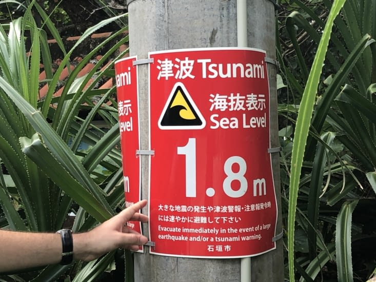 Attention tsunami