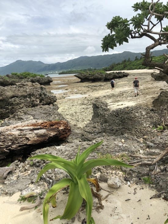 Le littoral de Kabira