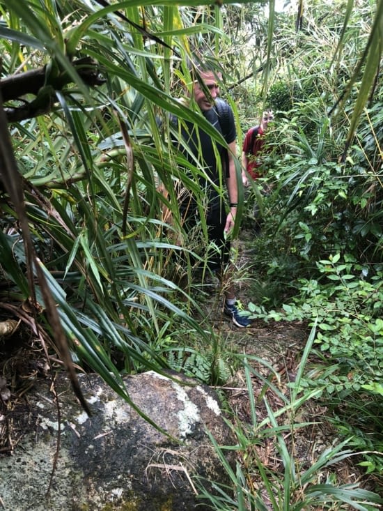 L’exploration continue. Attention aux grosses araignées et aux insectes