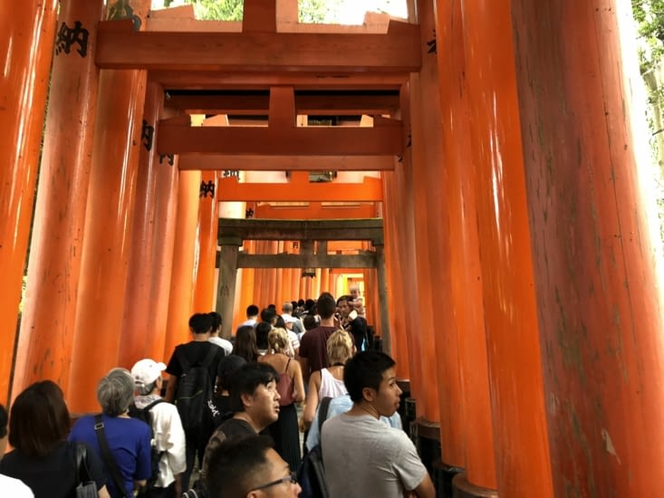 Embouteillage de touristes