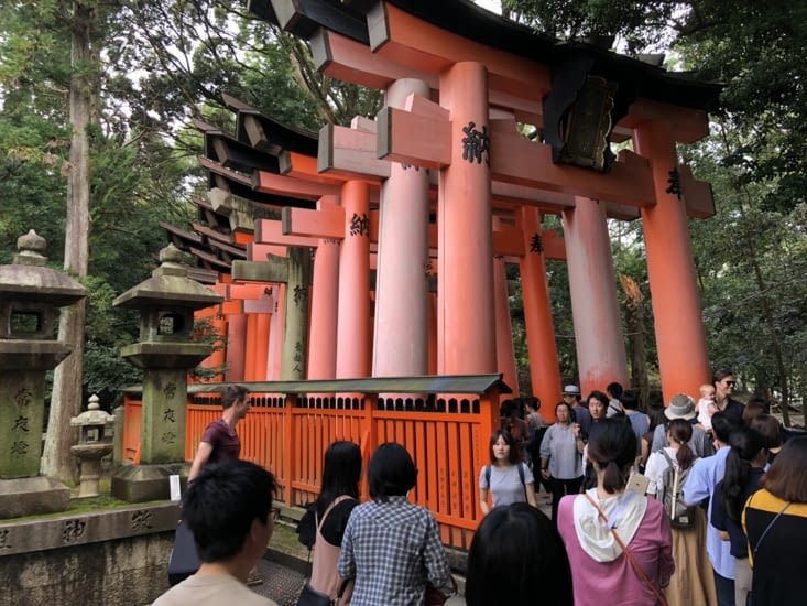 Une multitude de torii (porte spirituelle) longent le chemin