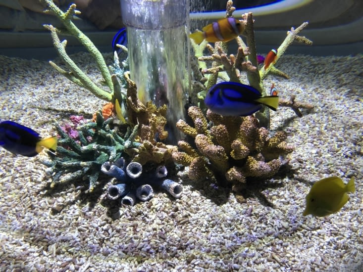 Aquarium de Osaka