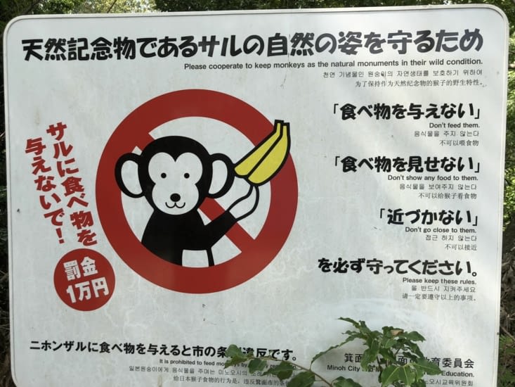 Ne nourrissez pas les singes ?