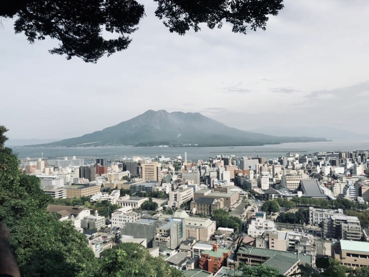 Il a l’air inoffensif...