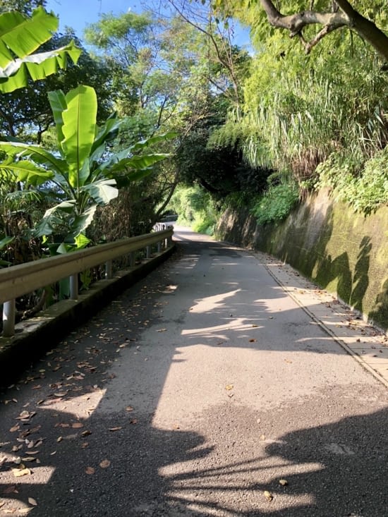 Petite rando vers Dinosaurs Parc