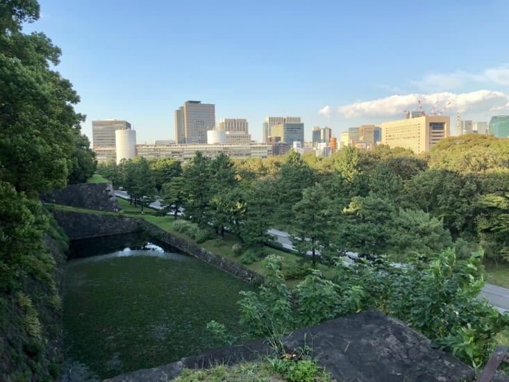 La vue depuis le palais