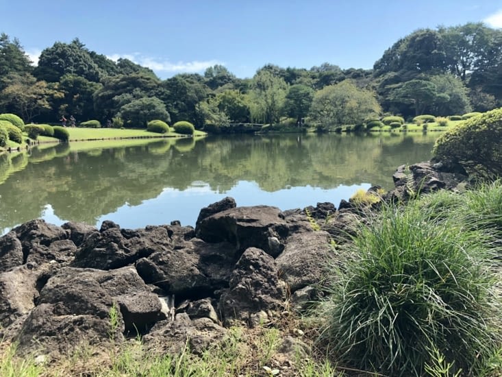 Visite du parc Shinjuku Gyoen