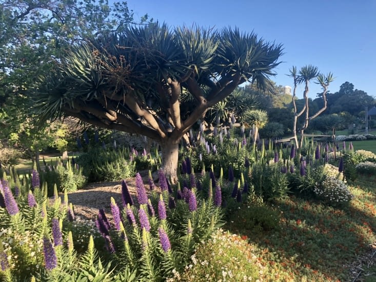 Jardin royal botanique