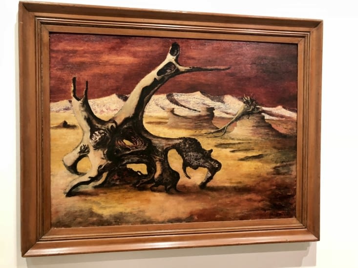 Paysage de l’outback australien