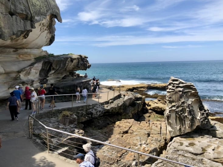 Bondai to Bronte Walk