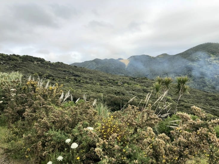 C’est sauvage par ici