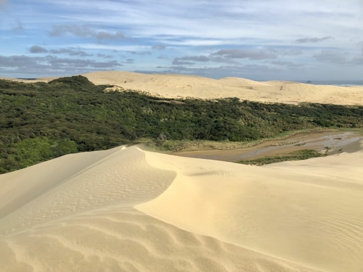 Dune Giant Te Paki