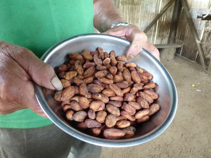 Fèves de cacao