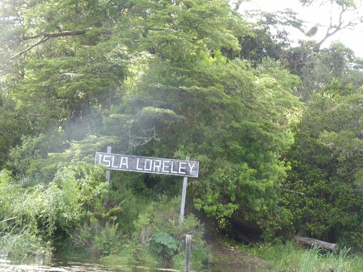 L'île Loreley