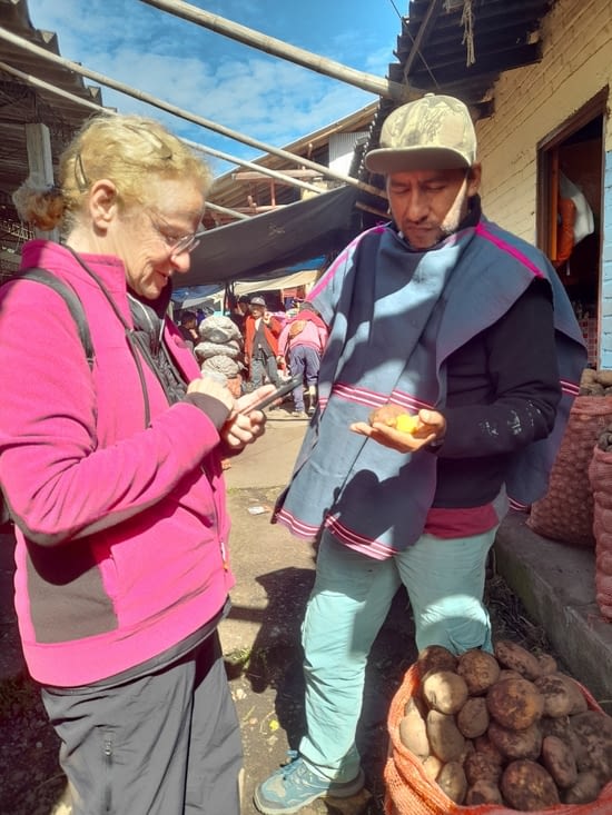 Victor montre différentes espèces de pomme de terre